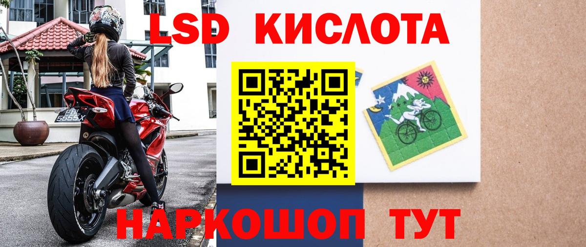 Наркотические марки 1500мкг  Наркотические марки 1500мкг  Волгоград  Вход с VPN 
