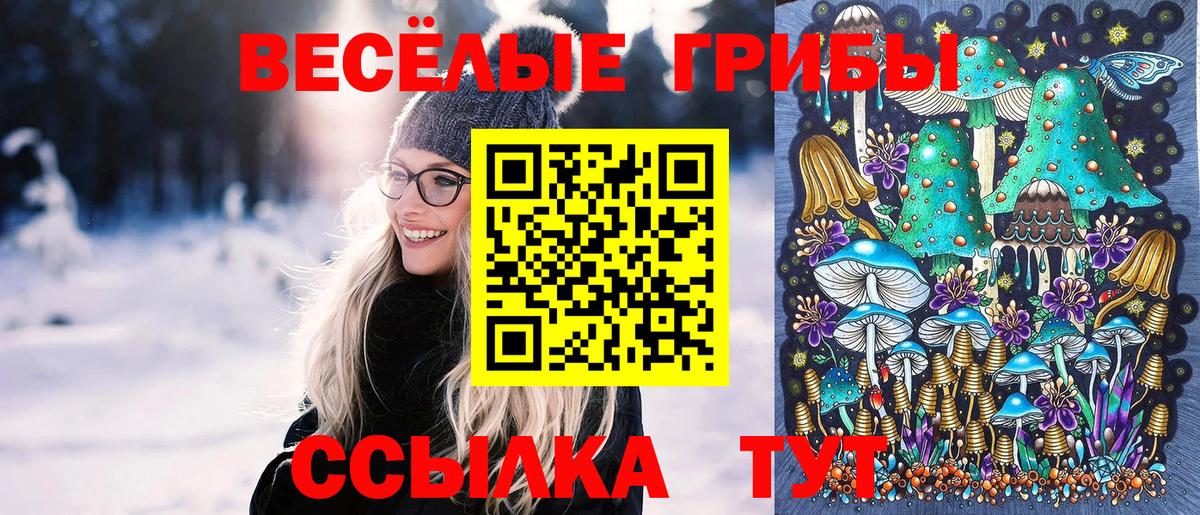 Псилоцибиновые грибы мухоморы Волгоград